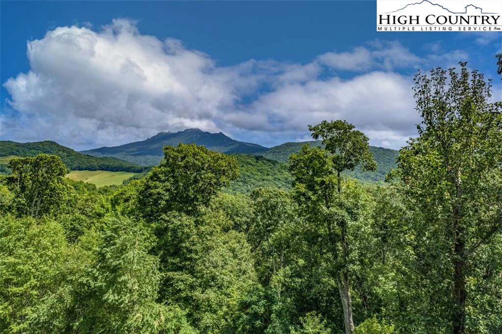 Image number 6 for the current listing