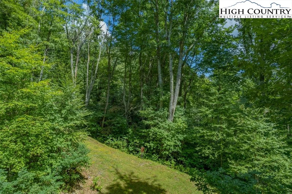 Image number 15 for the current listing