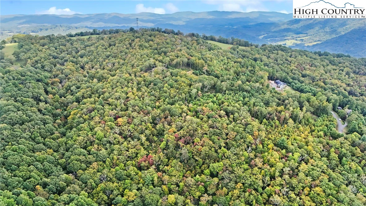 Image number 12 for the current listing