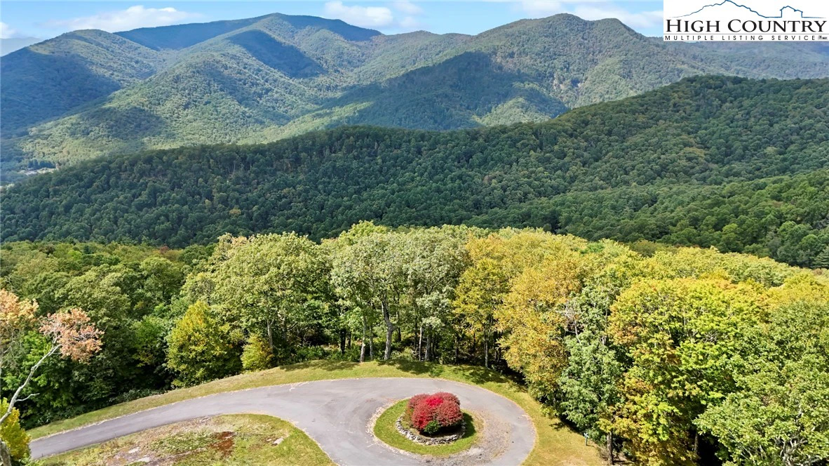 Image number 1 for the current listing