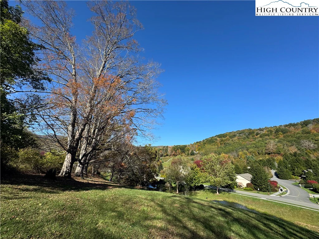Image number 21 for the current listing
