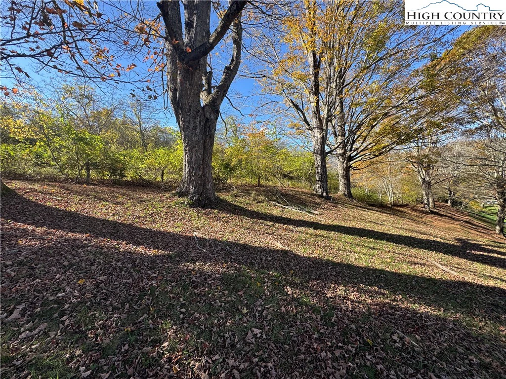 Image number 19 for the current listing
