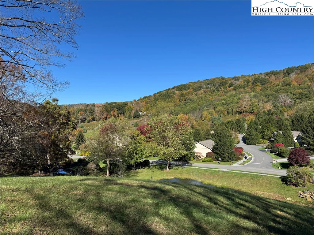 Image number 15 for the current listing