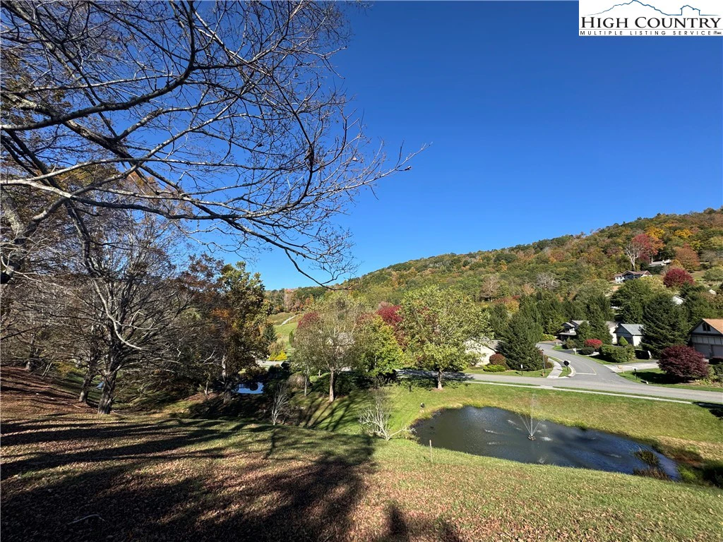 Image number 2 for the current listing