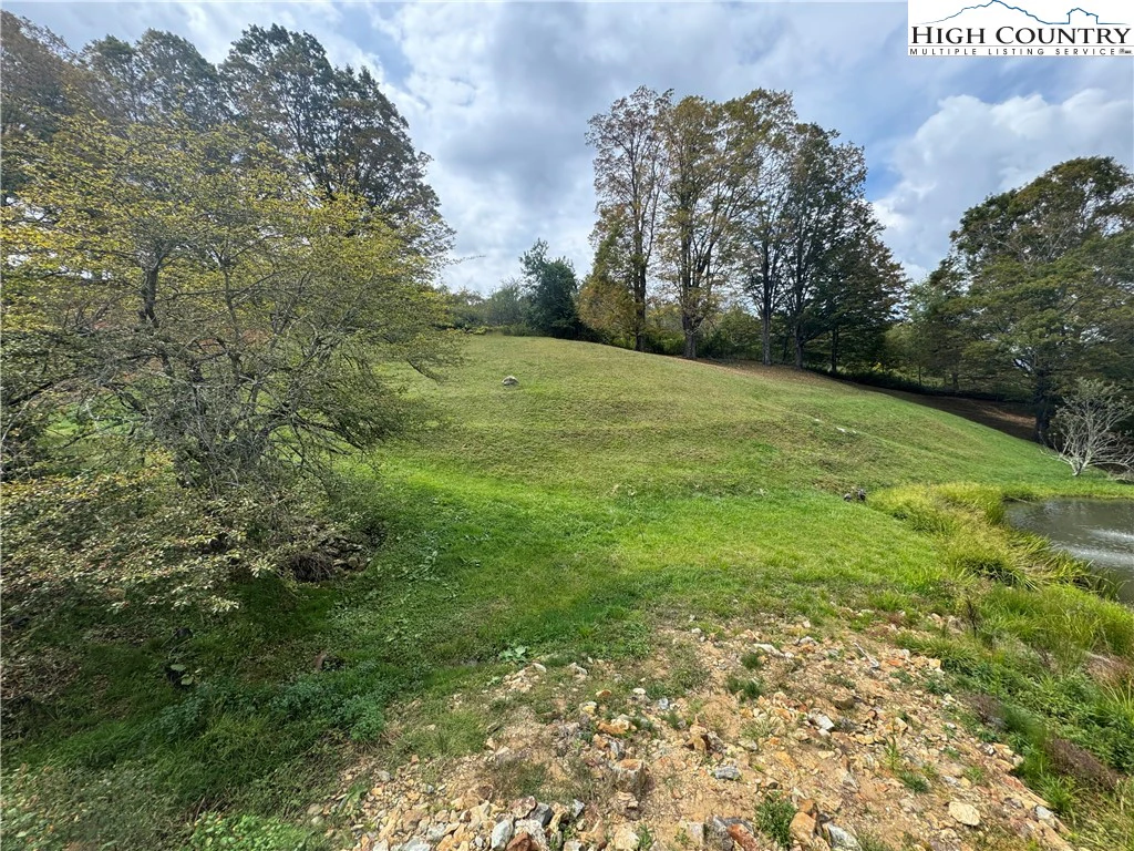 Image number 1 for the current listing
