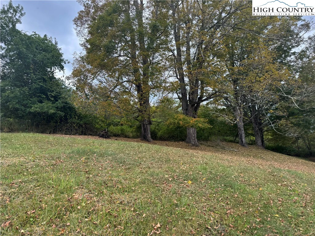 Image number 10 for the current listing