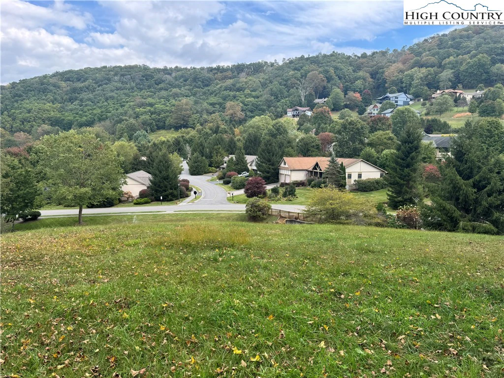 Image number 8 for the current listing