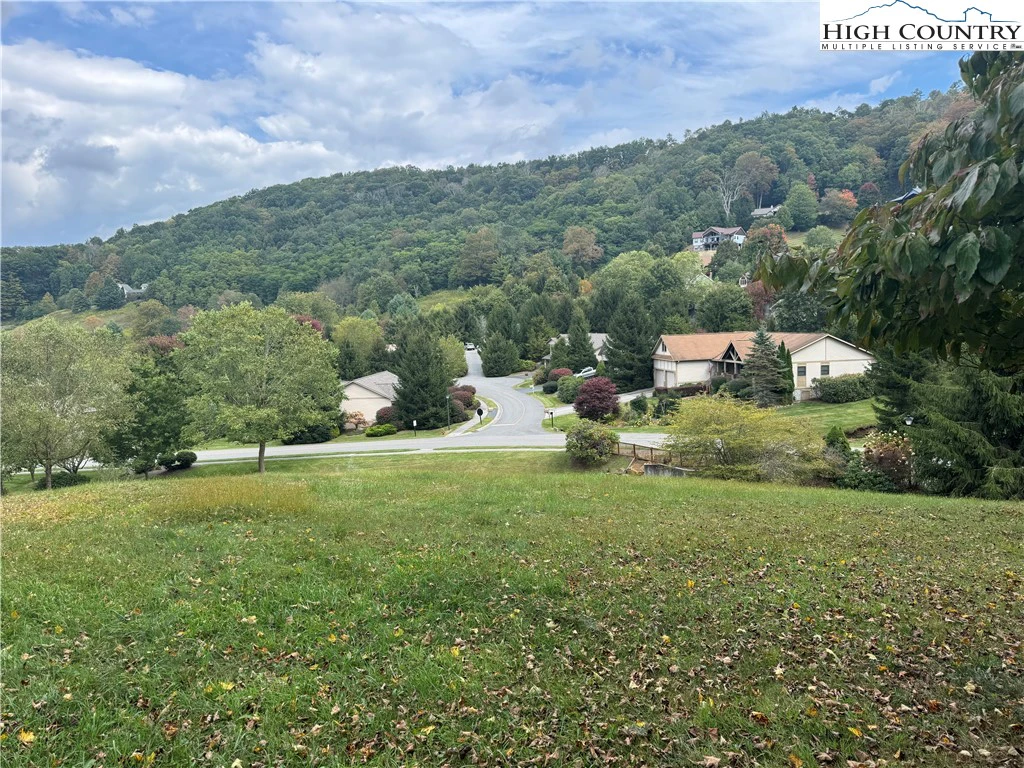 Image number 4 for the current listing