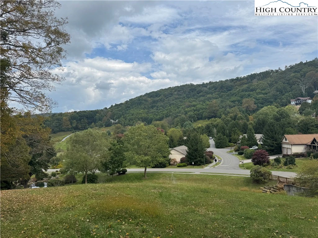 Image number 3 for the current listing