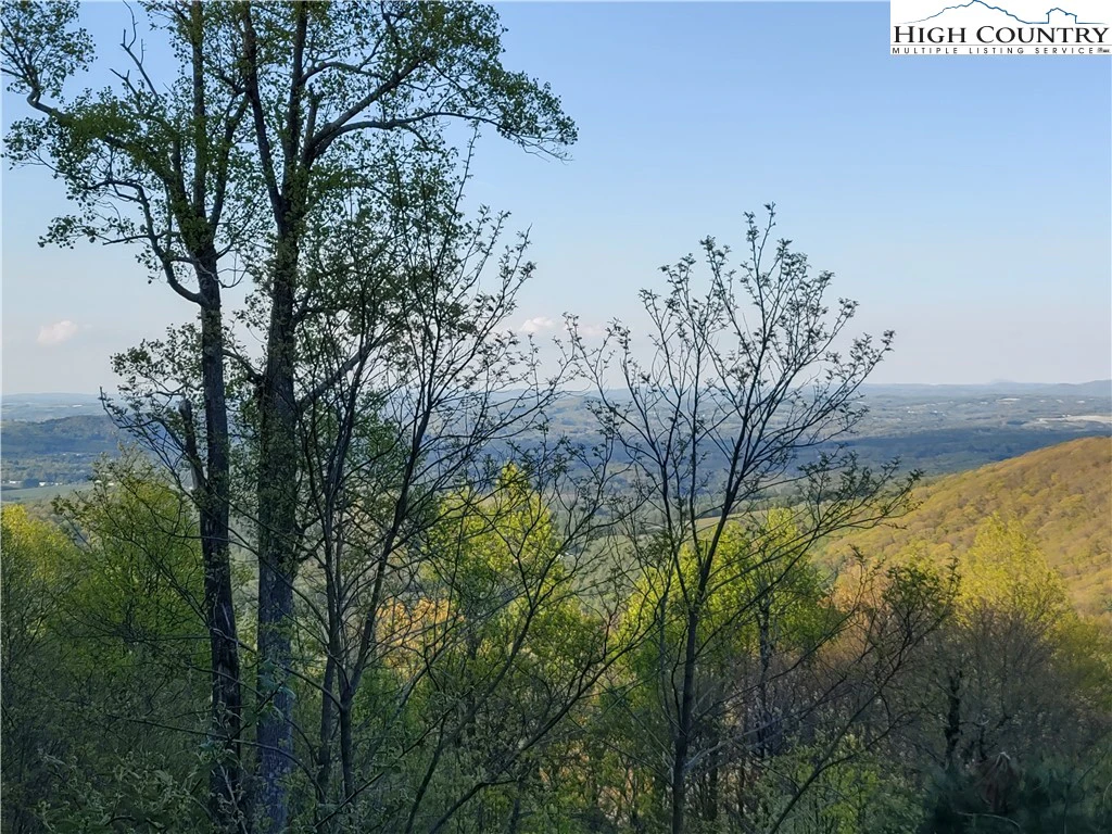 Image number 1 for the current listing