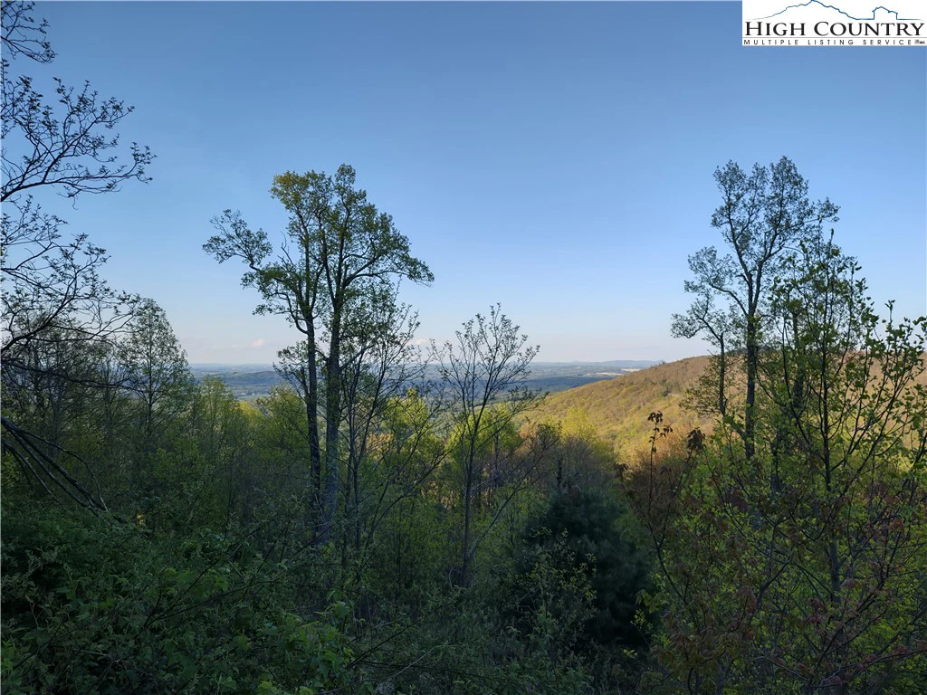 Image number 3 for the current listing