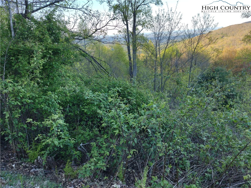 Image number 6 for the current listing