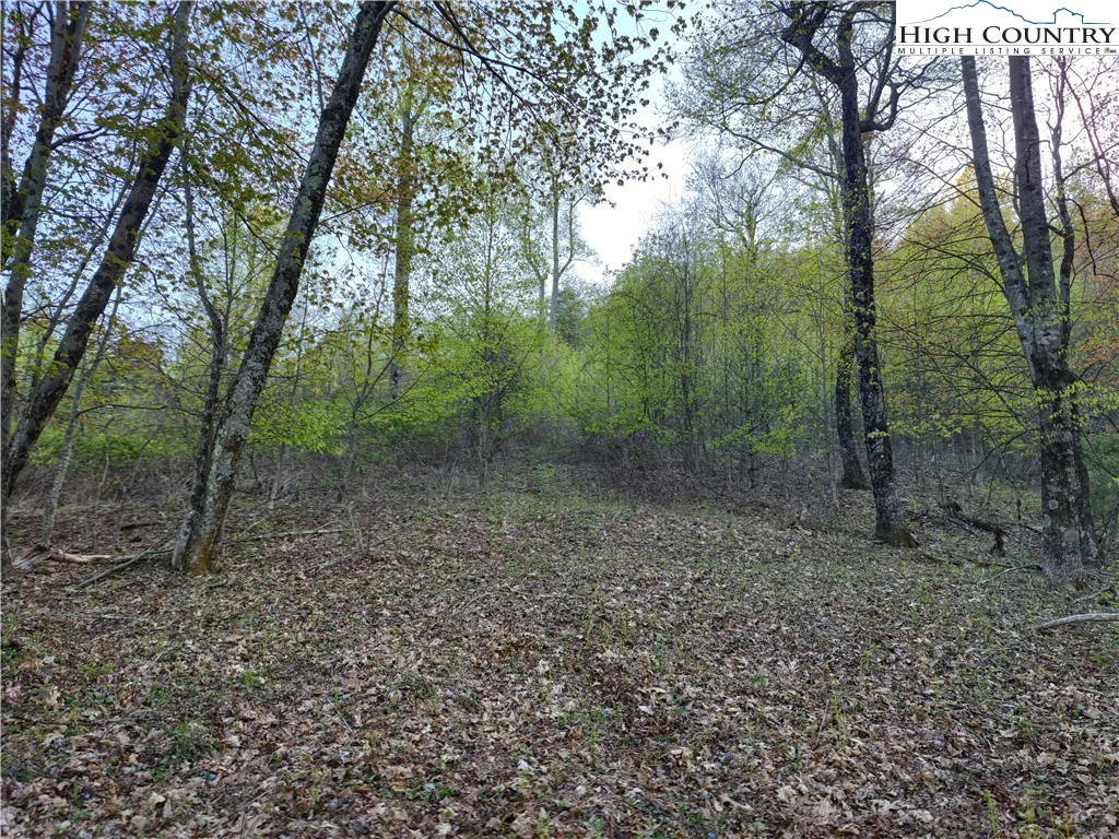 Image number 7 for the current listing