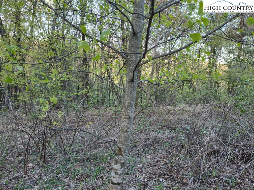 Image number 9 for the current listing
