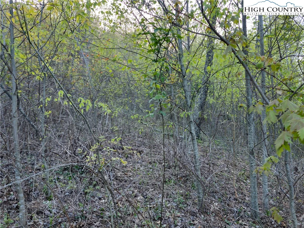 Image number 11 for the current listing