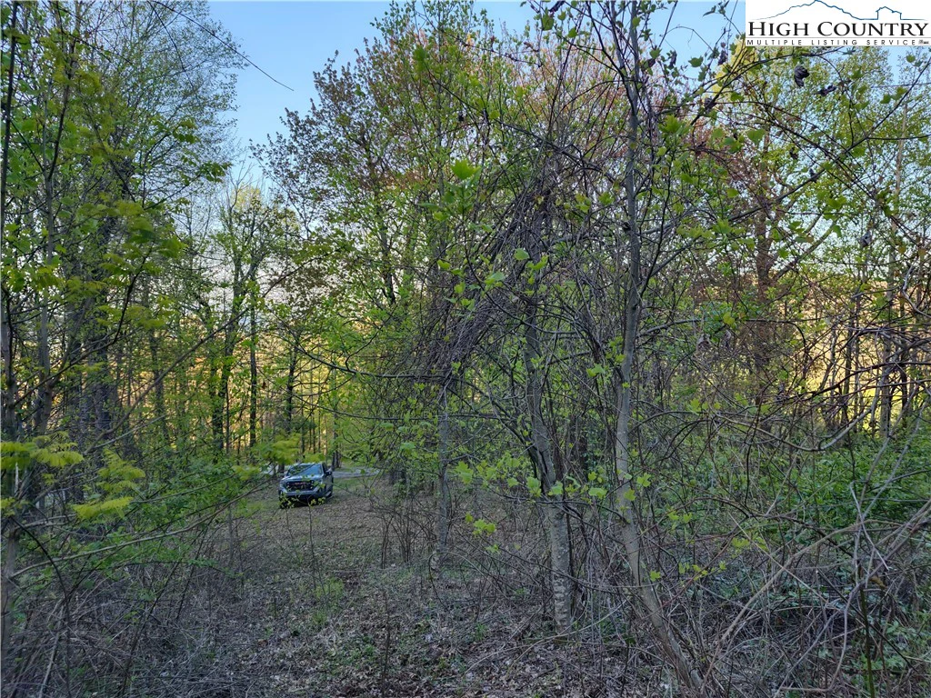 Image number 12 for the current listing