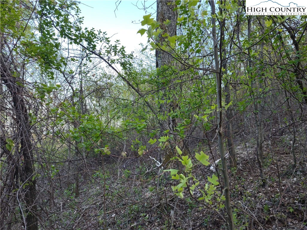 Image number 13 for the current listing
