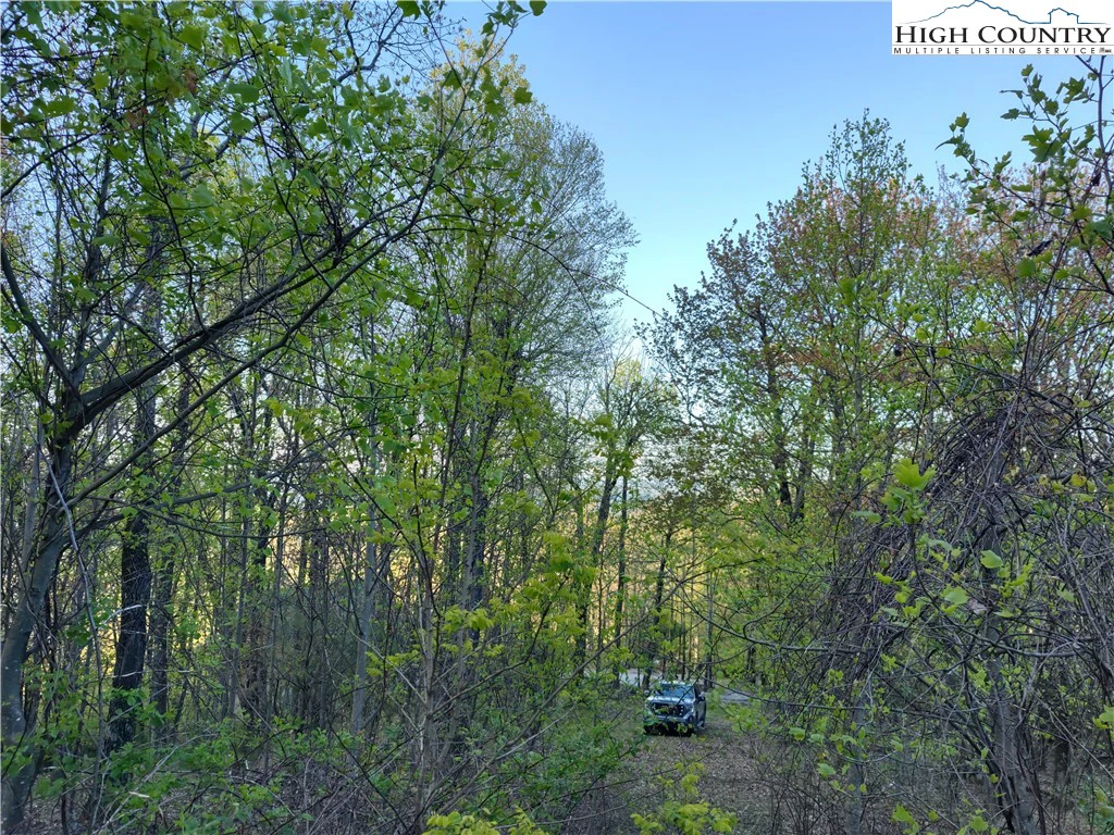 Image number 15 for the current listing