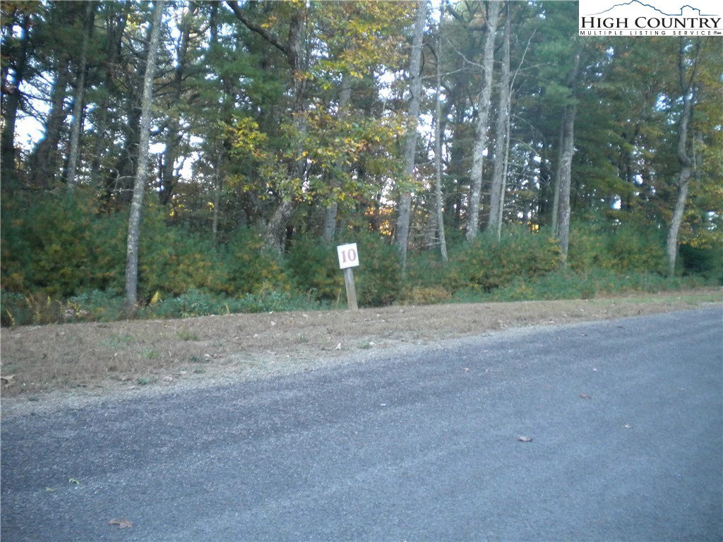 Image number 1 for the current listing