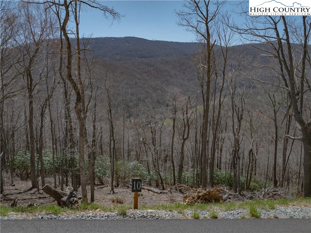 Image number 7 for the current listing