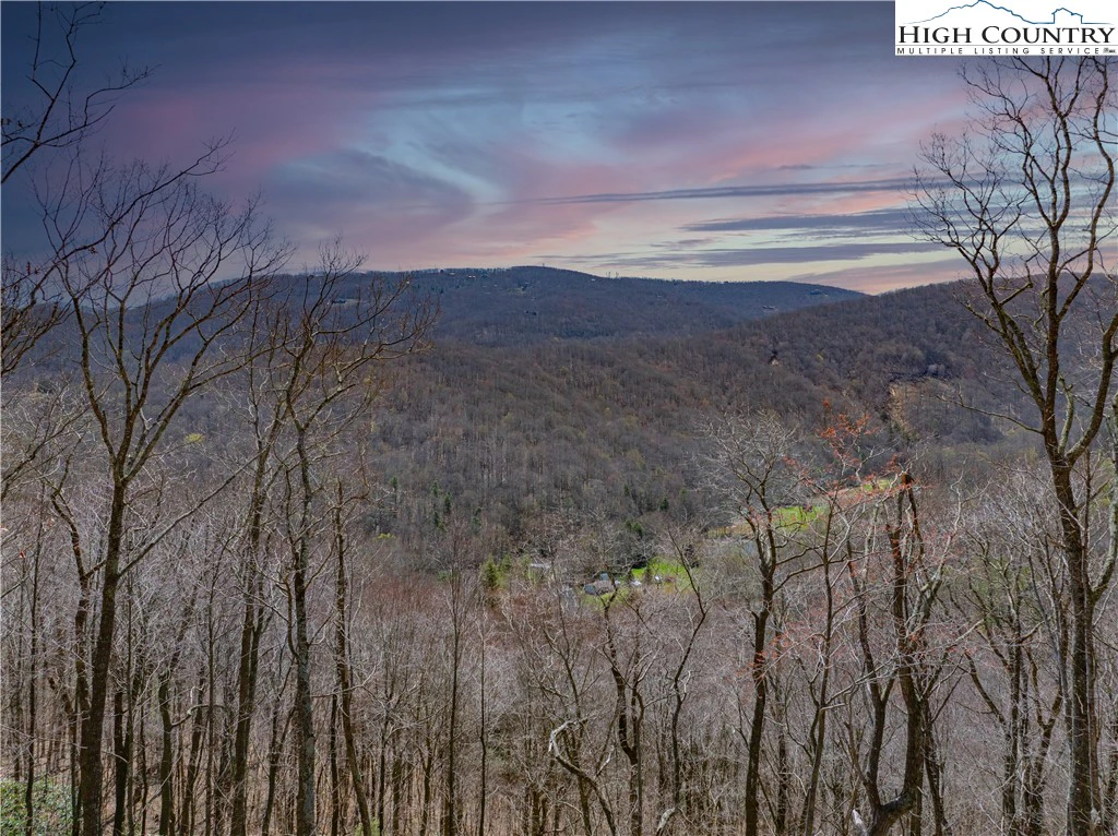 Image number 6 for the current listing