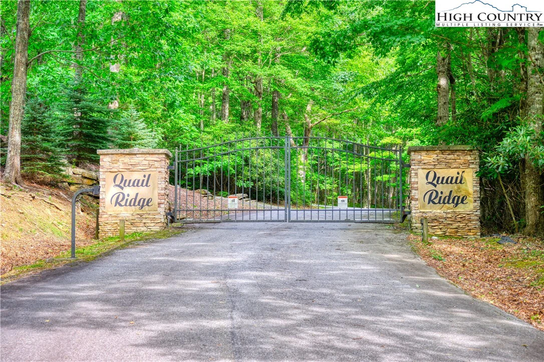 Image number 1 for the current listing
