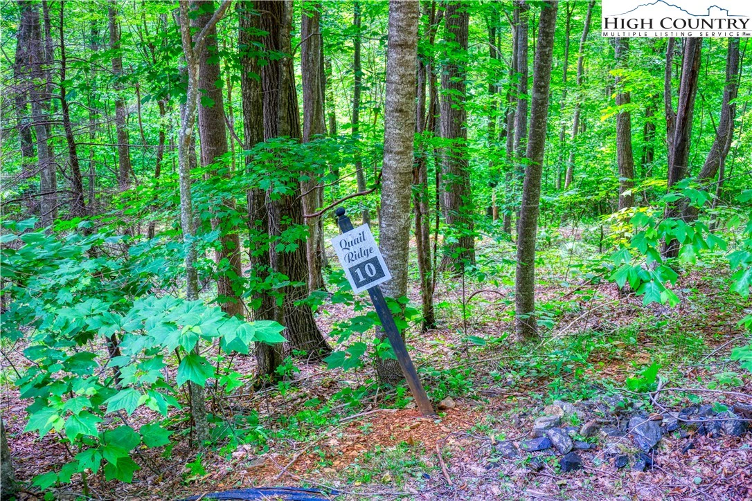 Image number 3 for the current listing