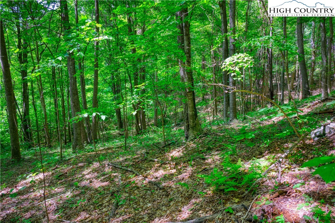 Image number 8 for the current listing