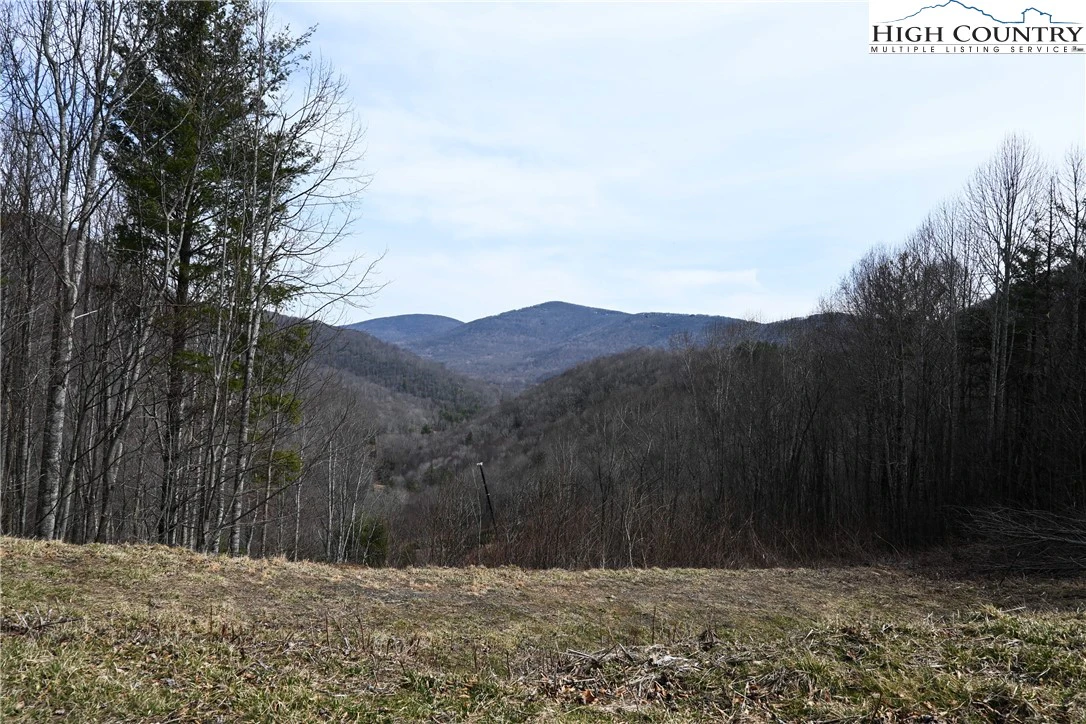 Image number 14 for the current listing