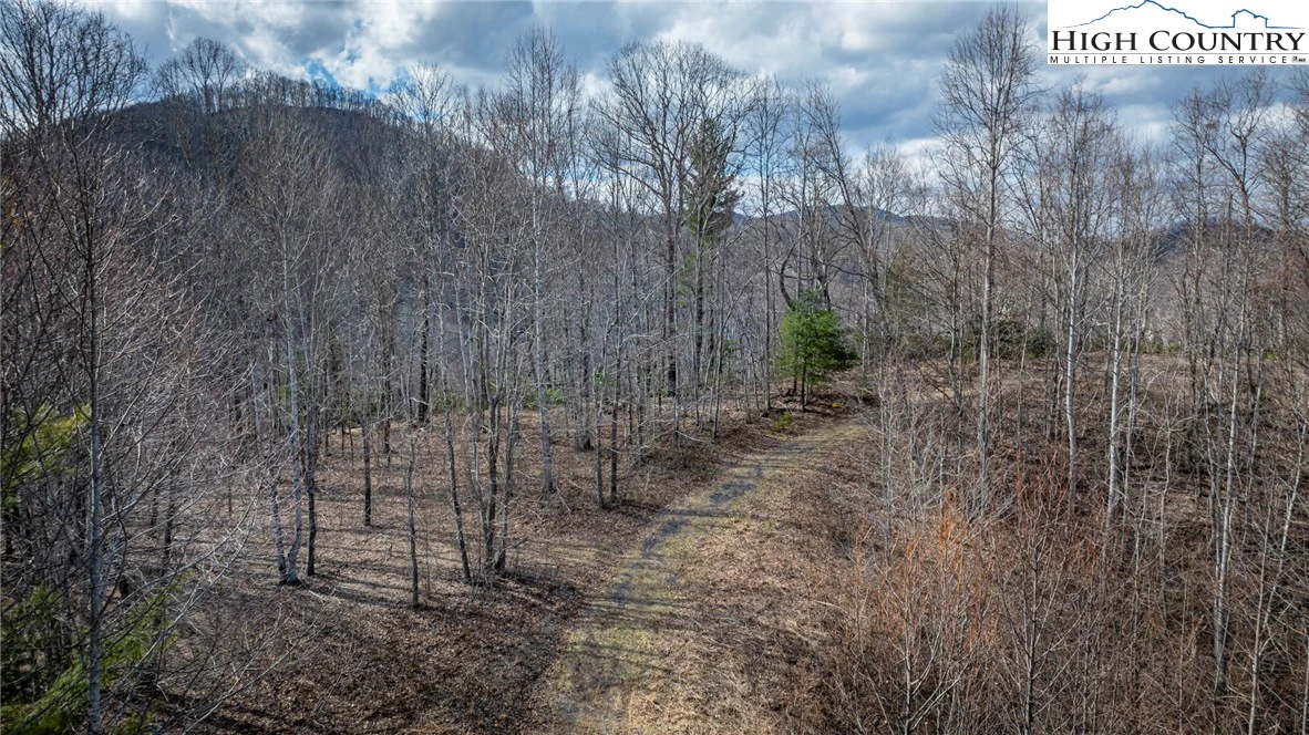 Image number 18 for the current listing