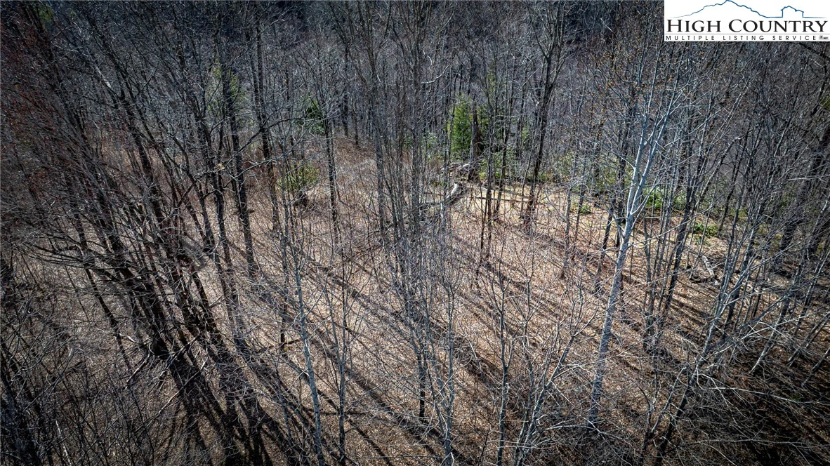 Image number 19 for the current listing