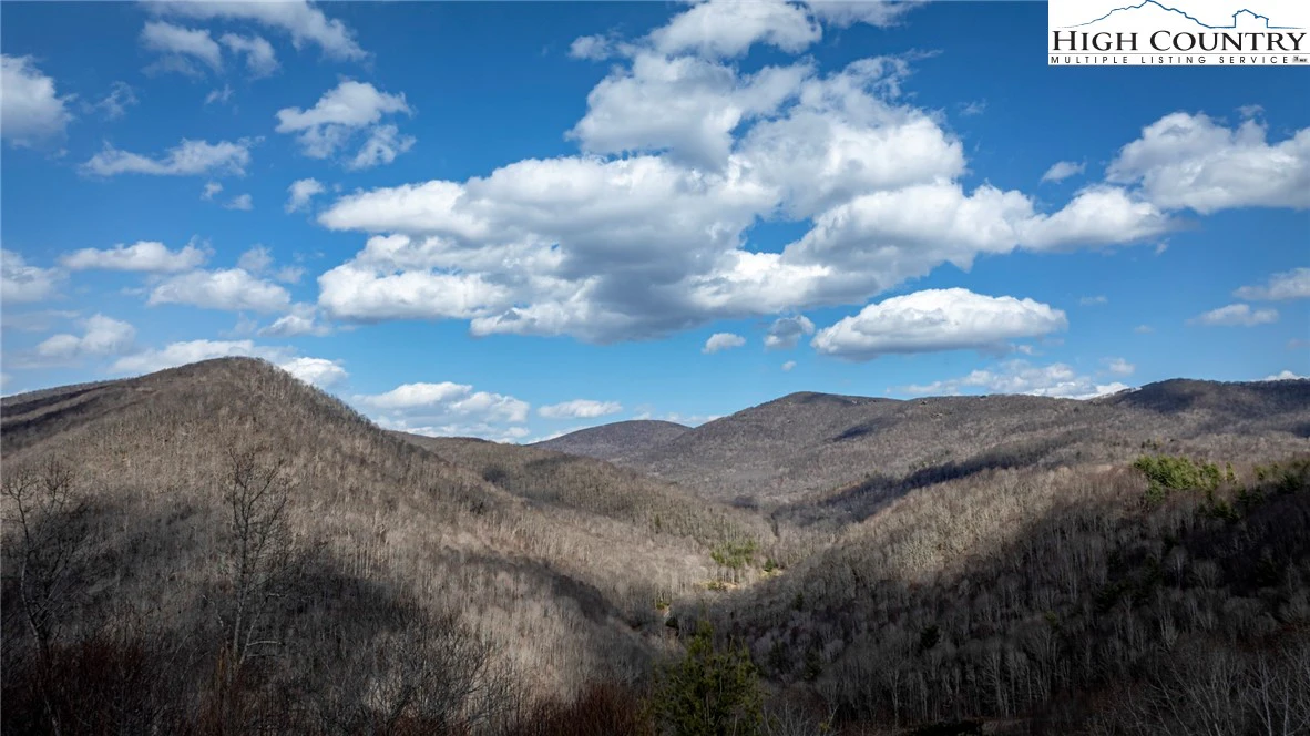 Image number 1 for the current listing