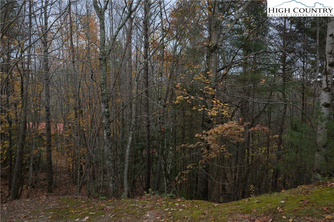 Image number 3 for the current listing