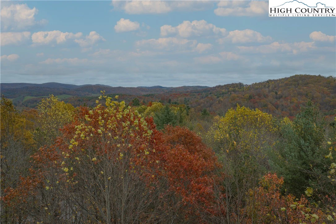 Image number 4 for the current listing
