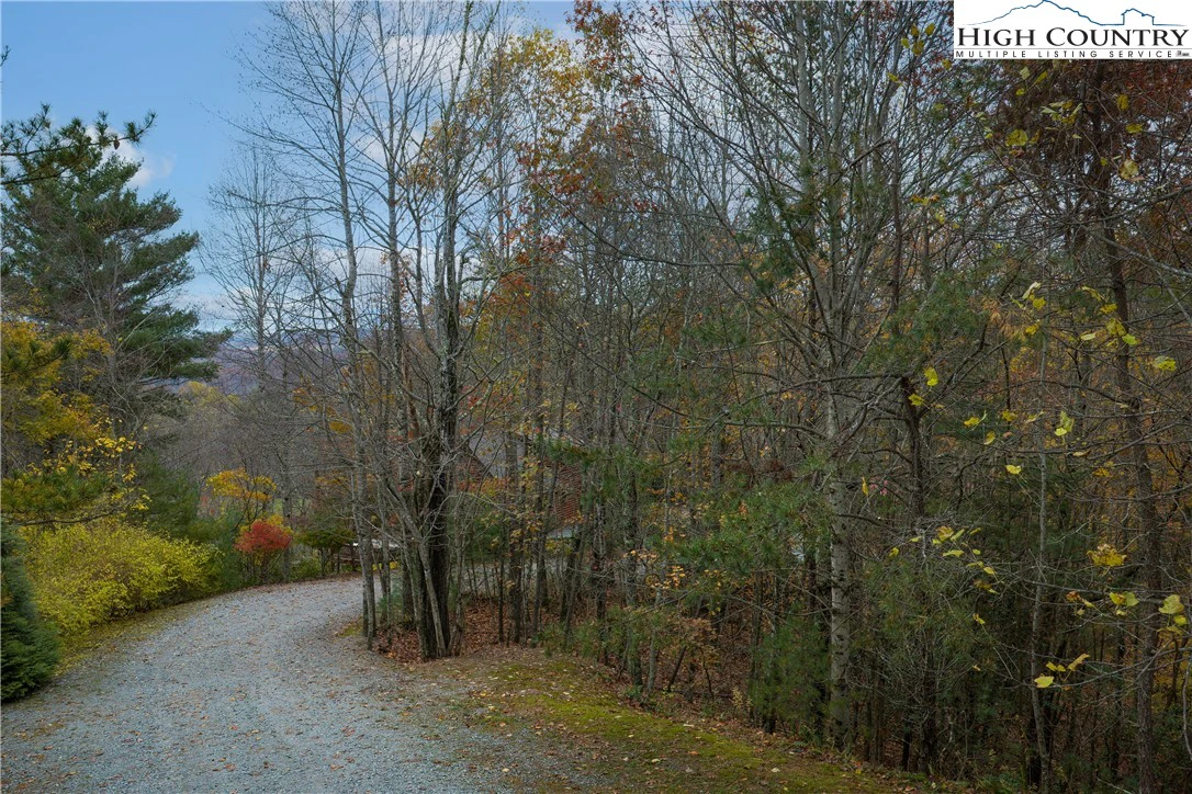 Image number 5 for the current listing