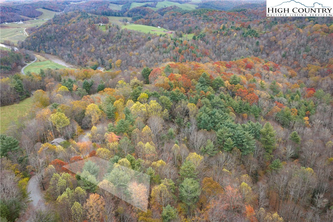 Image number 7 for the current listing