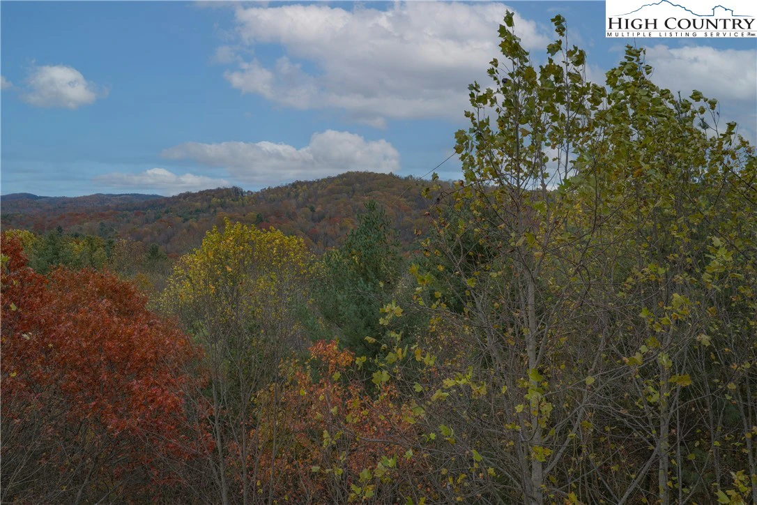Image number 10 for the current listing