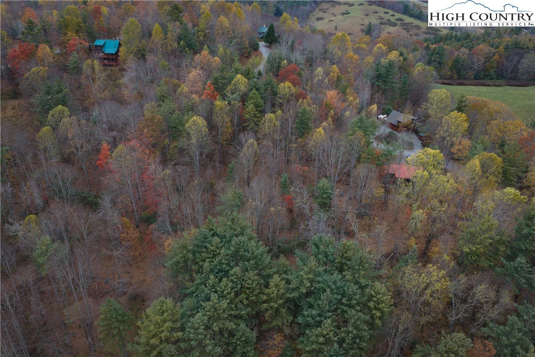 Image number 11 for the current listing