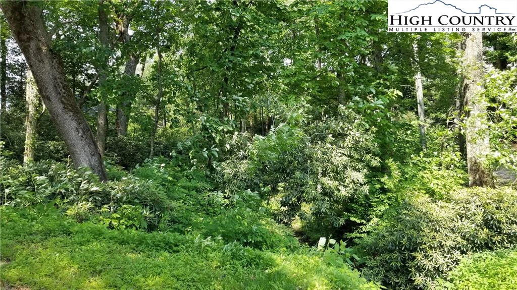 Image number 3 for the current listing