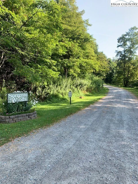 Image number 3 for the current listing