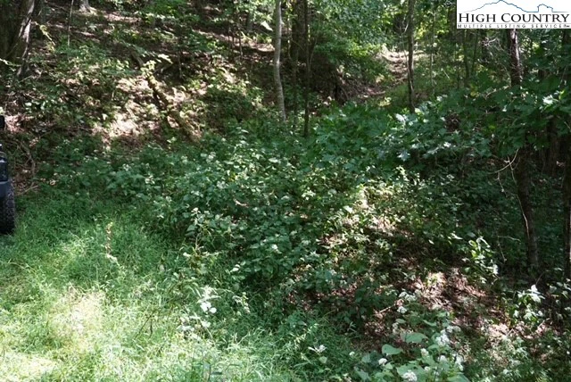 Image number 4 for the current listing