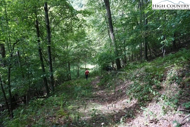 Image number 6 for the current listing