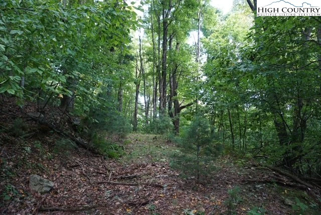 Image number 7 for the current listing