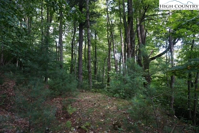 Image number 8 for the current listing