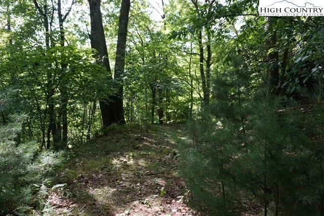 Image number 9 for the current listing