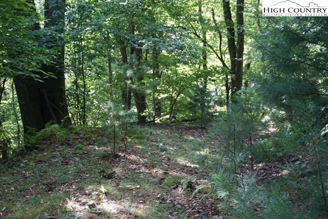 Image number 11 for the current listing