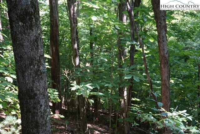 Image number 12 for the current listing
