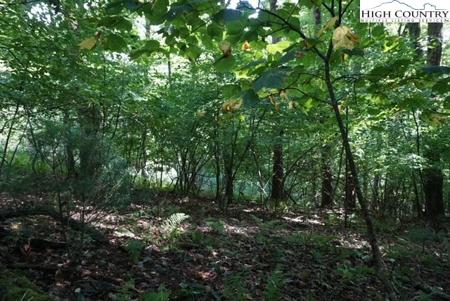 Image number 13 for the current listing