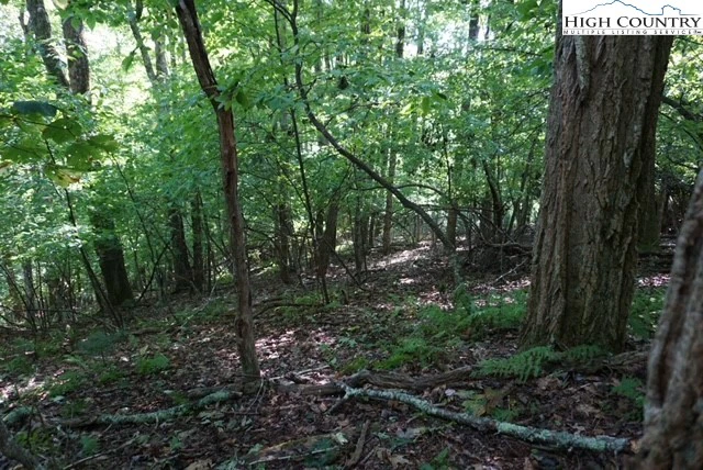 Image number 14 for the current listing