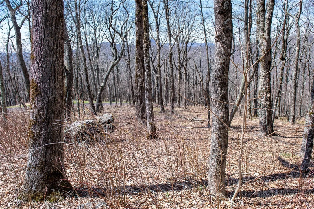 Image number 16 for the current listing